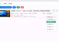 B站视频下载神器Bilidown 1.2.6 最后的可用版本来了！无广告且完全免费（250127）
